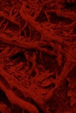 Poster de la película Language of the Entrails