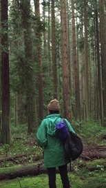 Poster de la película Forest Movie