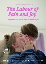 Poster de la película The Labour of Pain and Joy