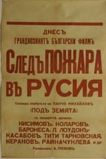 Poster de la película After the Fire in Russia