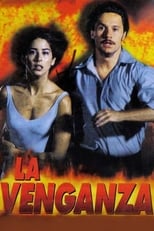 Poster de la película The Revenge