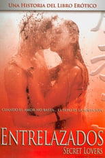 Poster de la película Shibari