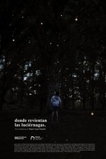 Poster de la película Where the fireflies burst