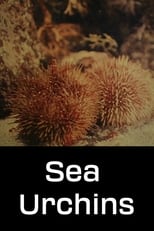 Poster de la película Sea Urchins