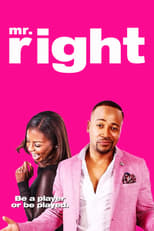 Poster de la película Mr. Right