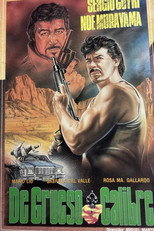 Poster de la película De grueso calibre