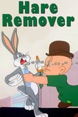 Poster de la película Hare Remover