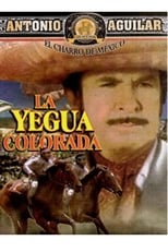 Poster de la película La yegua colorada