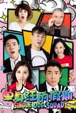 Poster de la película 单身汪的假期
