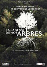 Poster de la película La sagesse de nos arbres