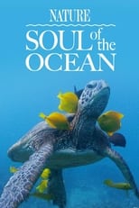 Poster de la película Soul of the Ocean