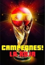 Poster de la película ¡Campeones! La Roja