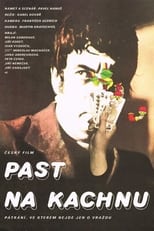 Poster de la película Past na kachnu