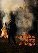 Poster de la película By the Fire