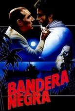 Poster de la película Bandera negra