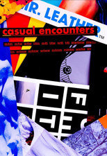 Poster de la película casual encounters