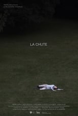 Poster de la película La chute