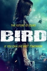 Poster de la película Bird