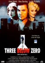 Poster de la película Three Below Zero