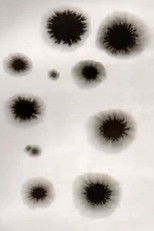 Poster de la película Animation from Poland Residence