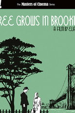 Poster de la película The Making of A Tree Grows in Brooklyn