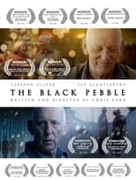 Poster de la película The Black Pebble