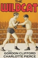 Poster de la película The Wildcat