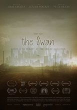 Poster de la película The Swan
