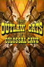 Poster de la película The Outlaw Cats of Colossal Cave