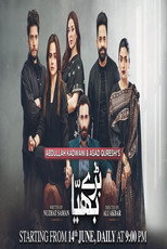 Poster de la serie Baray Bhaiya