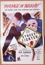 Poster de la película Street Fighter