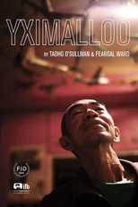 Poster de la película Yximalloo