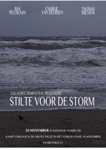 Poster de la película Stilte voor de Storm