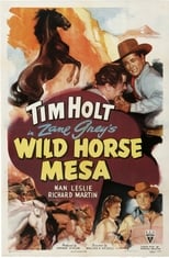 Poster de la película Wild Horse Mesa