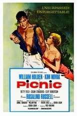 Poster de la película Picnic