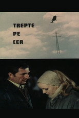 Poster de la película Steps in the Sky