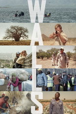 Poster de la película Walls
