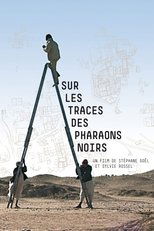 Poster de la película Sur les traces des pharaons noirs