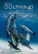 Poster de la película Being Dolphin 4D