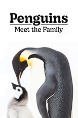 Poster de la película Penguins: Meet the Family