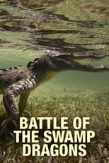 Poster de la película Battle of the Swamp Dragons