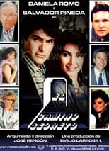 Poster de la serie El camino secreto