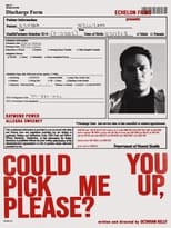 Poster de la película Could You Pick Me Up, Please?