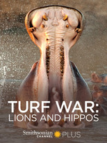 Poster de la película Turf War: Lions and Hippos