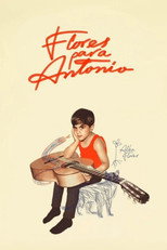 Poster de la película Flores para Antonio