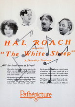 Poster de la película The White Sheep