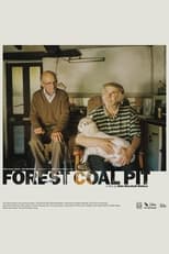 Poster de la película Forest Coal Pit