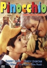 Poster de la película Pinocchio