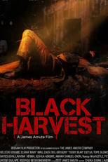 Poster de la película Black Harvest