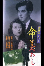 Poster de la película Beauty of Life
